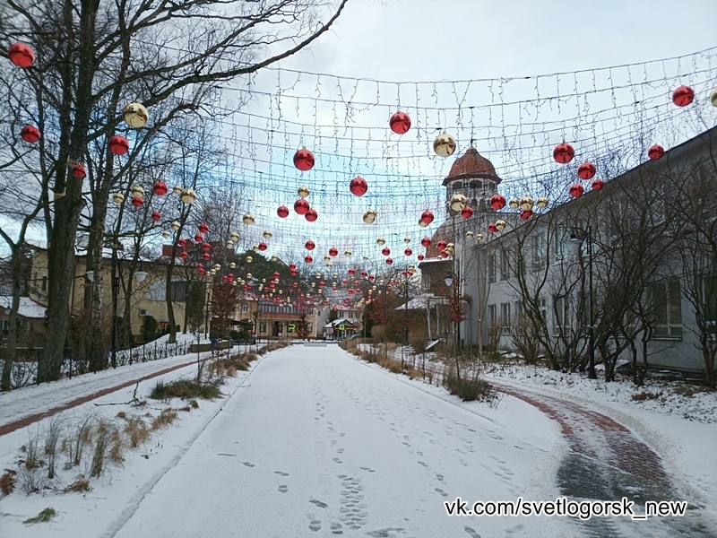 Калининградская область, Светлогорск, 30.12.2025
