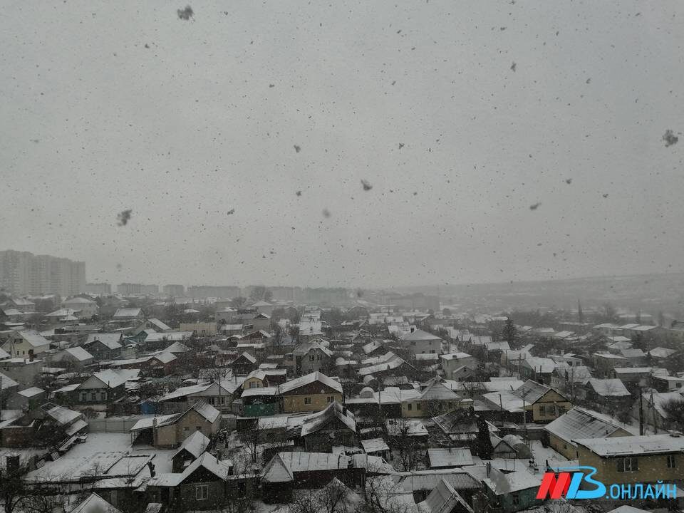    Фото: МТВ.ОНЛАЙН / Елизавета Денисова