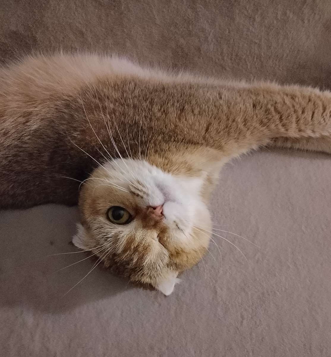 Ты с этим тазом заодно, да? Я от тебя не ожидала