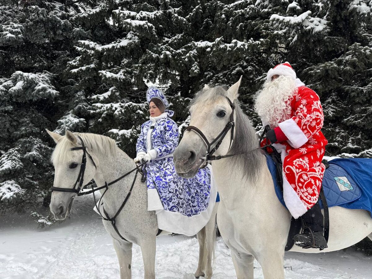    Конный патруль Деда Мороза и Снегурочки в Курске