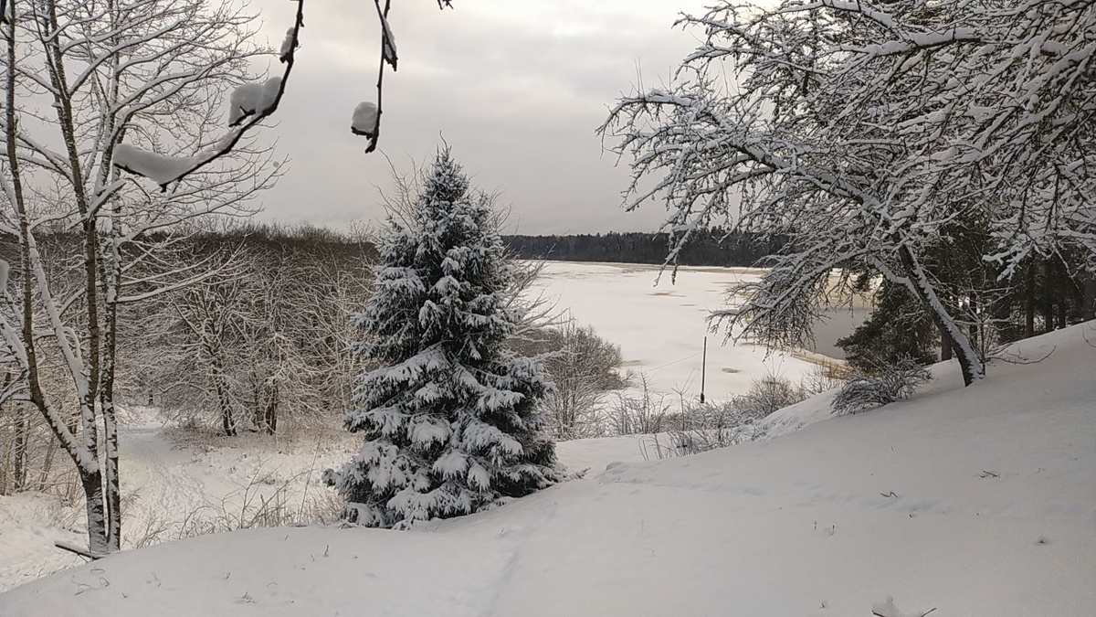 Вид из  панорамного окна в домике.