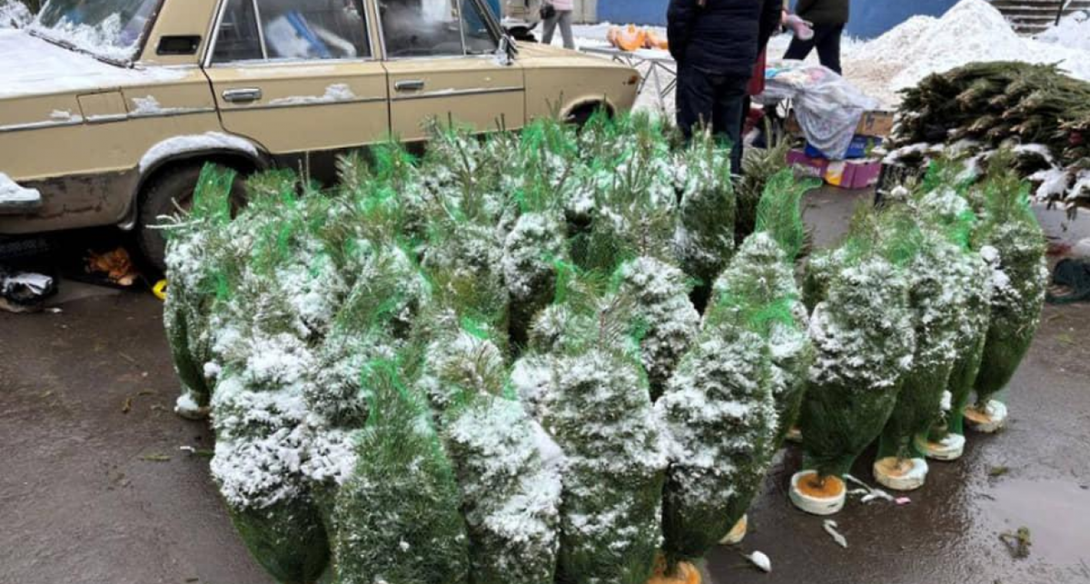    ГУ МВД по Нижегородской области с сайта iy.kommersant.ru