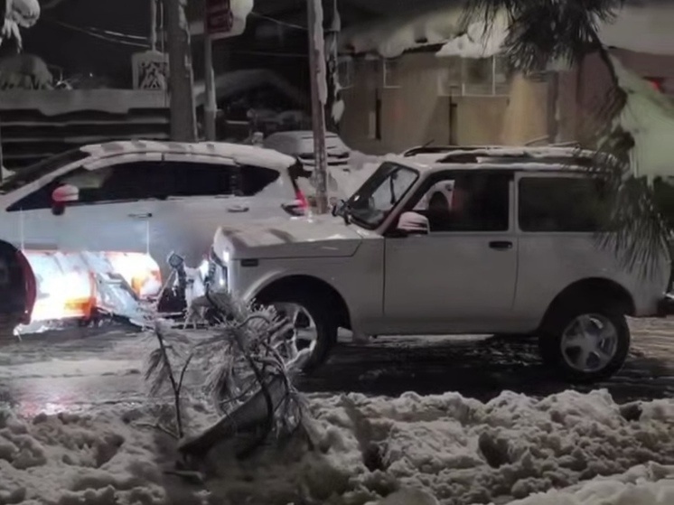     Скриншот видео: t.me/dtp_sochi