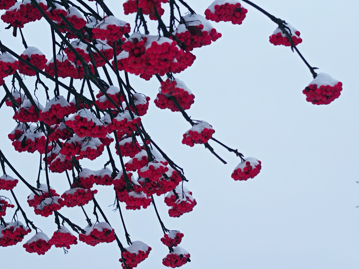 Фото автора канала 