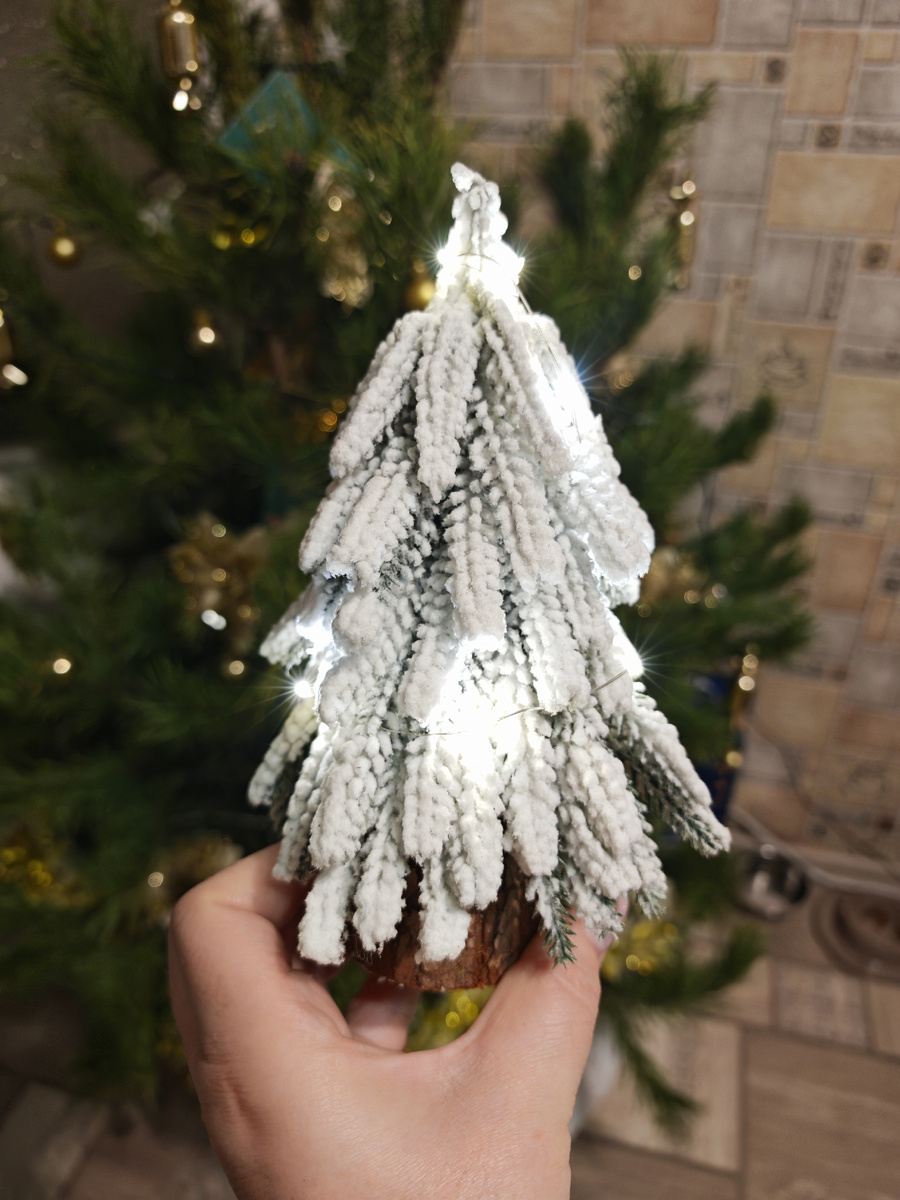 Фото автора канала 