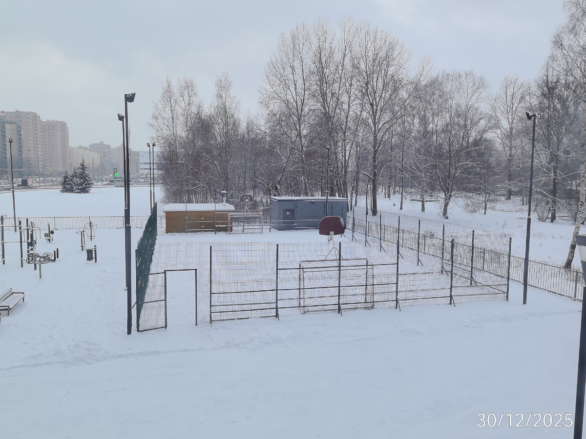 Перед новым годом в Санкт-Петербург всё же пришла зима