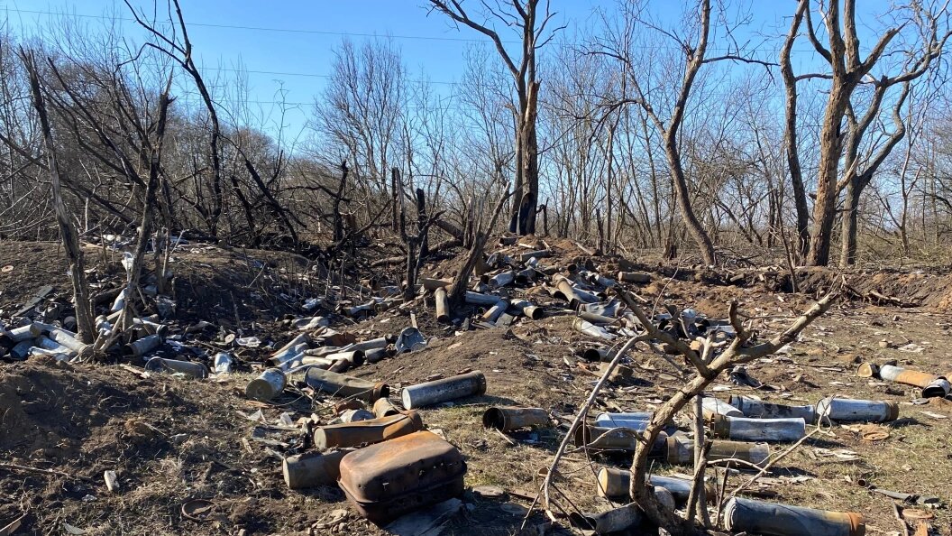    Фото: Stanislaw1999/shutterstock