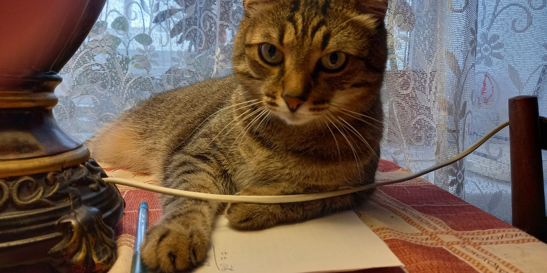 Приятный сюрприз от школы и итоги второй четверти