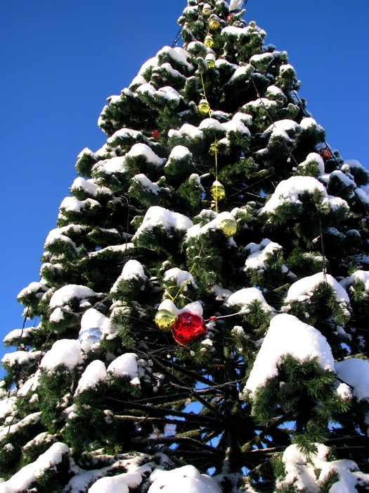 Фото автора.