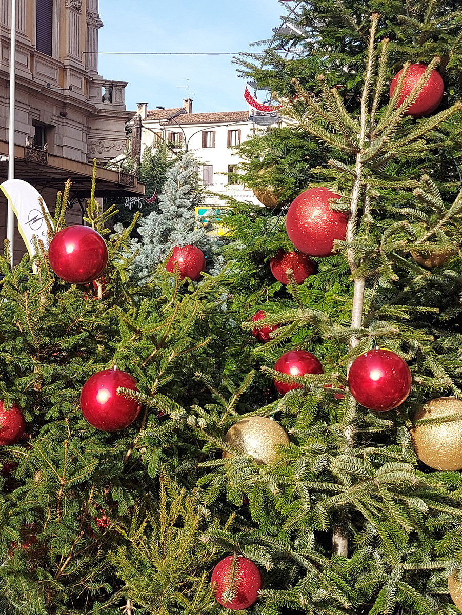 Городок Конельяно (Conegliano), Италия
