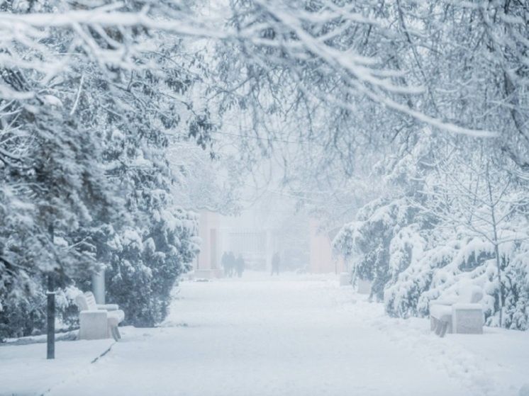     © Фото: ИД «Волгоградская правда» / архив