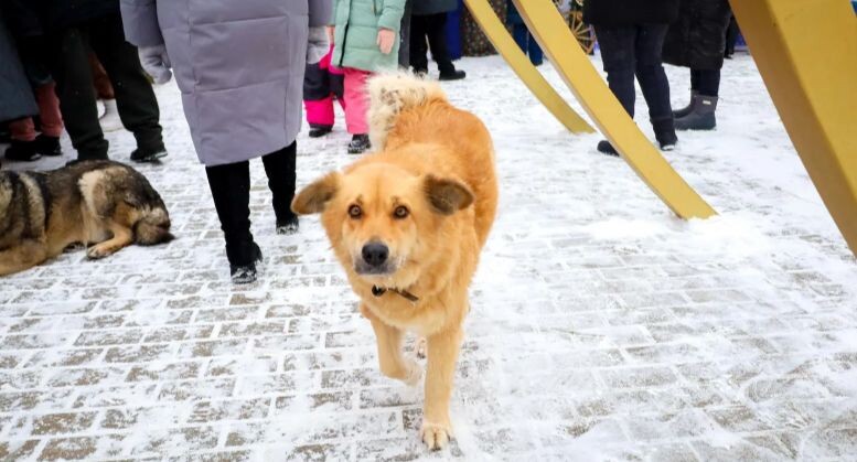    Elena Mayorova/Global Look Press / www.globallookpress.com