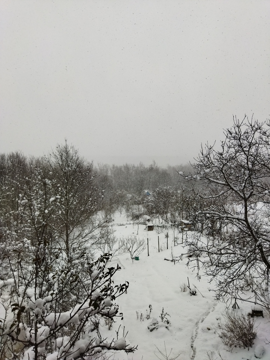 У нас прям зима❄⛄