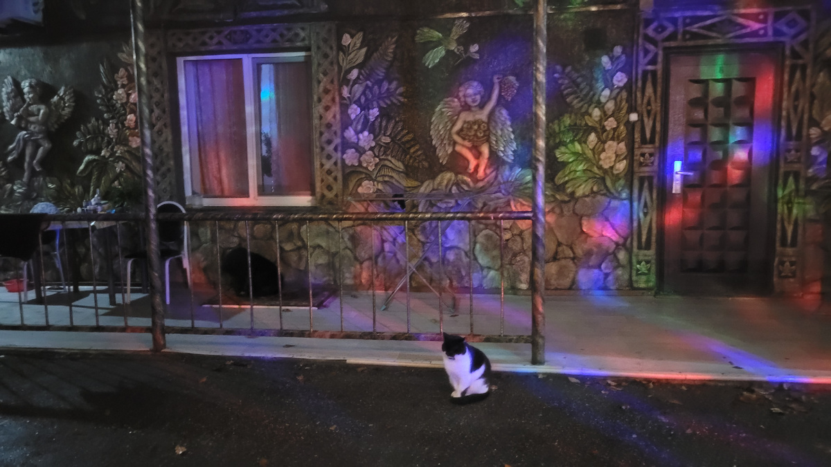 Миша и Марк