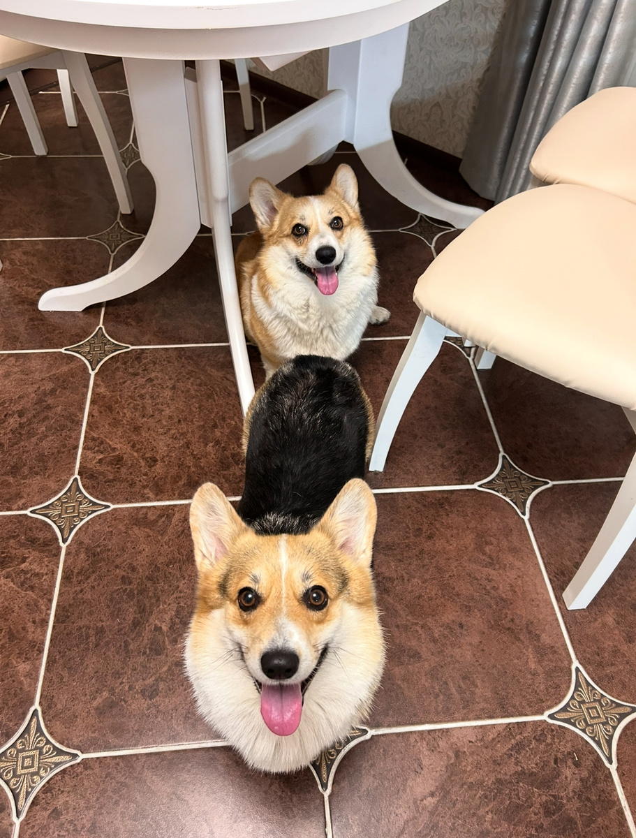 Кухня - наше любимое место в доме! 😁