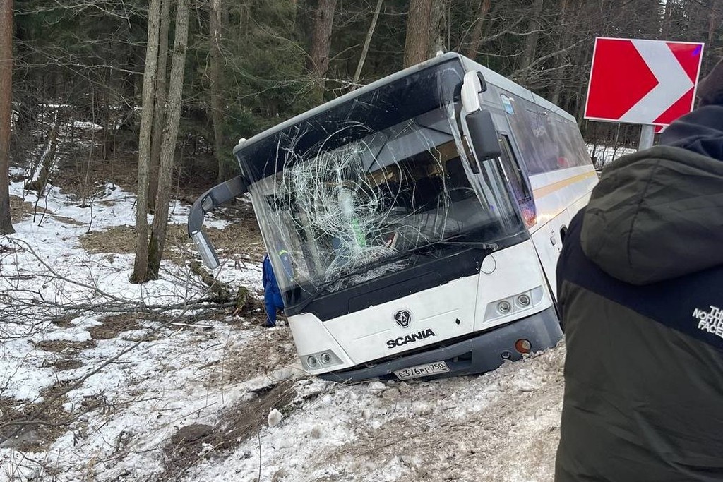    Фото © Telegram / Водители Орехово-Зуево