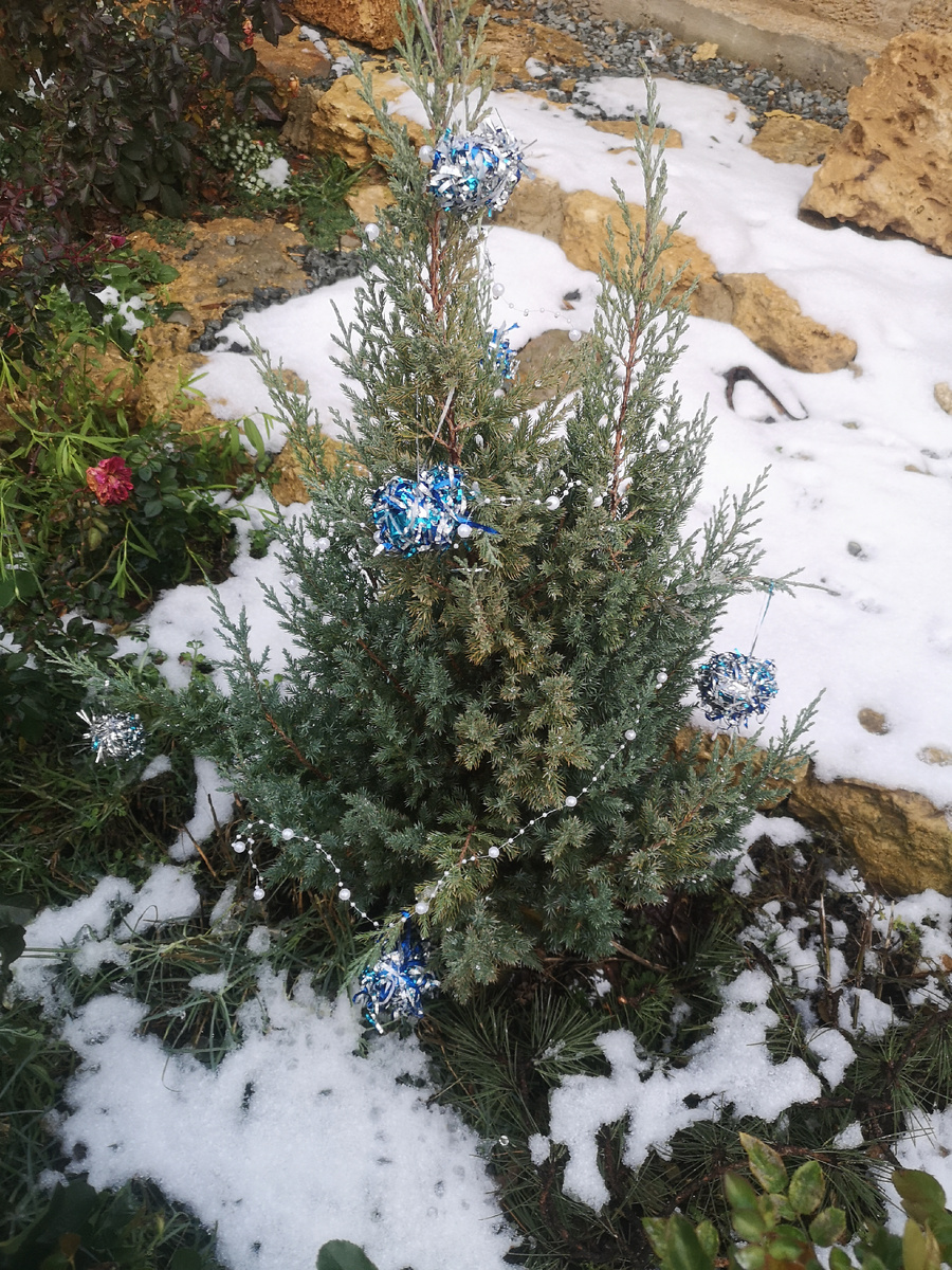 Моя стрикта с самодельными мотанками из дождика