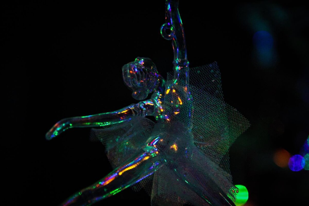 фото: Варвара Аминова