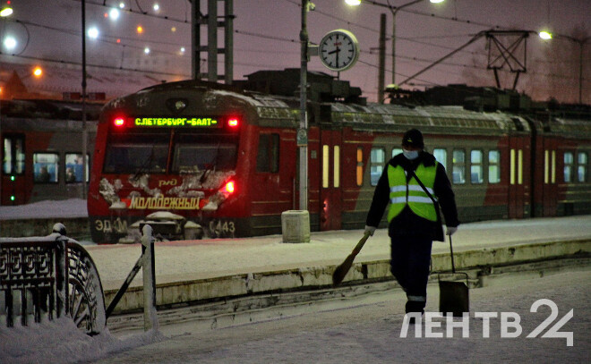    © Анастасия Илюшина / ЛенТВ24, архивное фото
