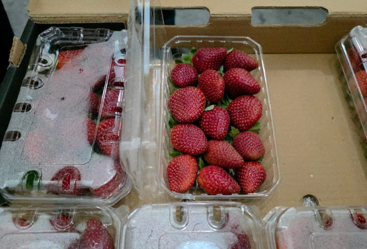 фото: пресс-служба Северо-Западного таможенного управления