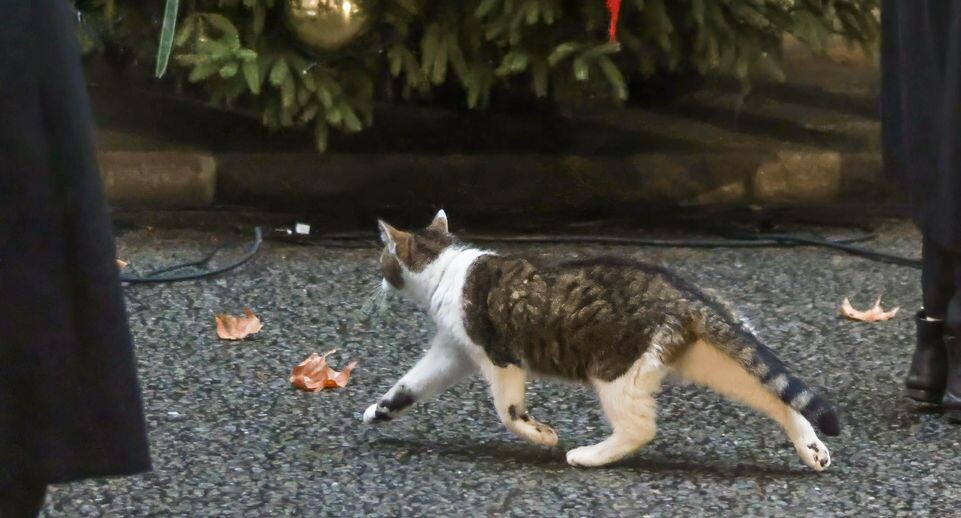    Martyn Wheatley/i-Images / www.globallookpress.com