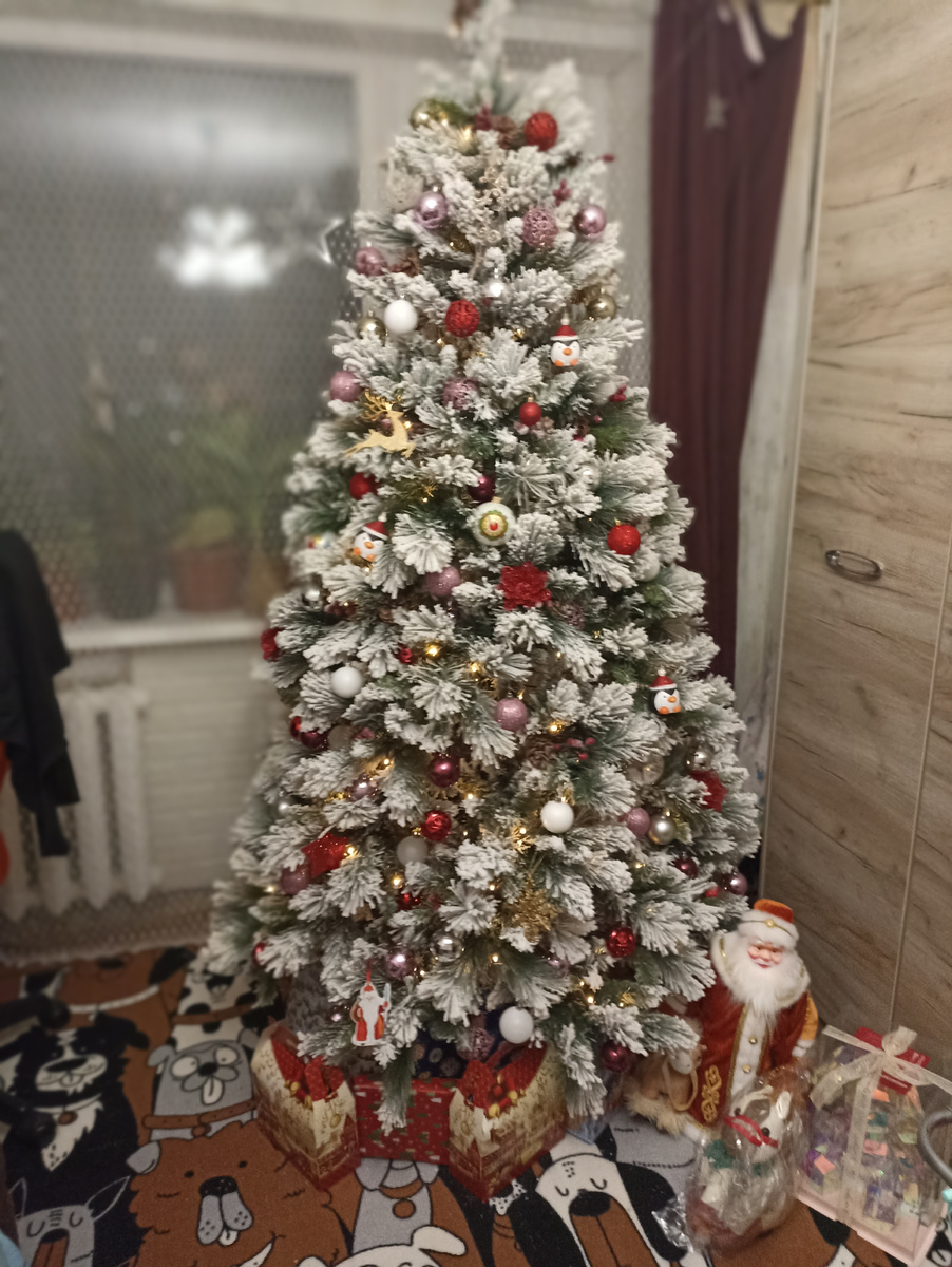 А это наша ёлочка красавица) 