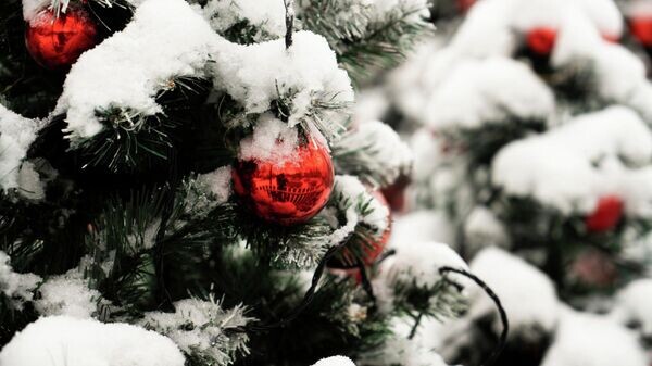    © РИА Новости Крым