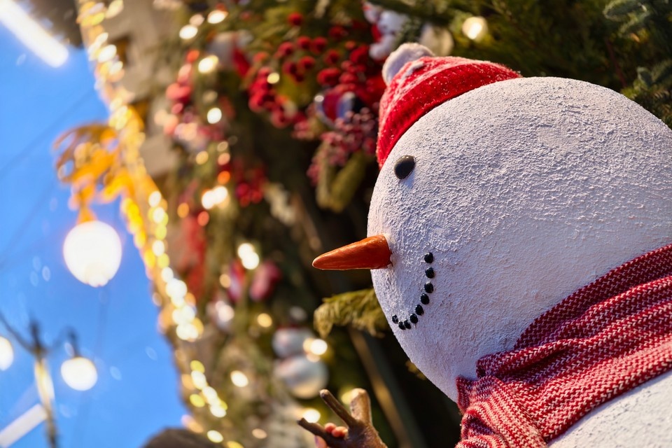    В Тюмени 31 декабря 2025 пройдет небольшой снег и местами изморозь Алексей БУЛАТОВ