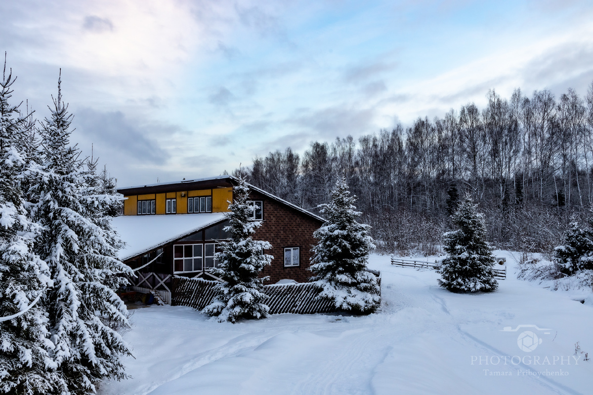 Зимой в деревне. Фотограф Тамара Прибойченко