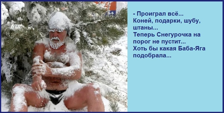 Новогодние анекдоты и шутки /из доступного фонда Яндекс.Картинки/