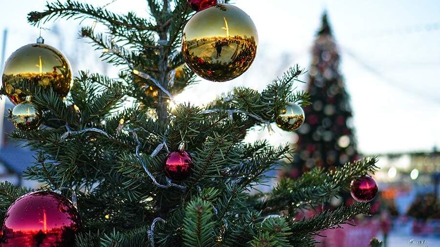    Фото: ИЗВЕСТИЯ/Павел Волков