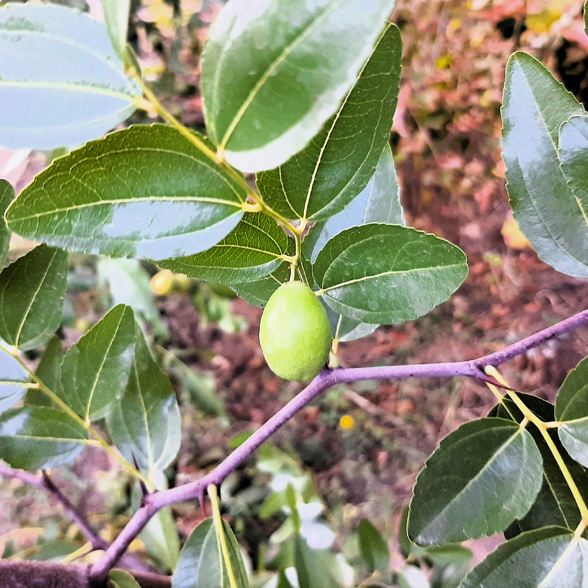 23 августа 2025