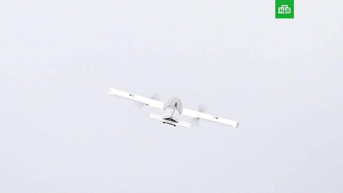    Фото: РИА Новости © 2025, Алексей Филиппов