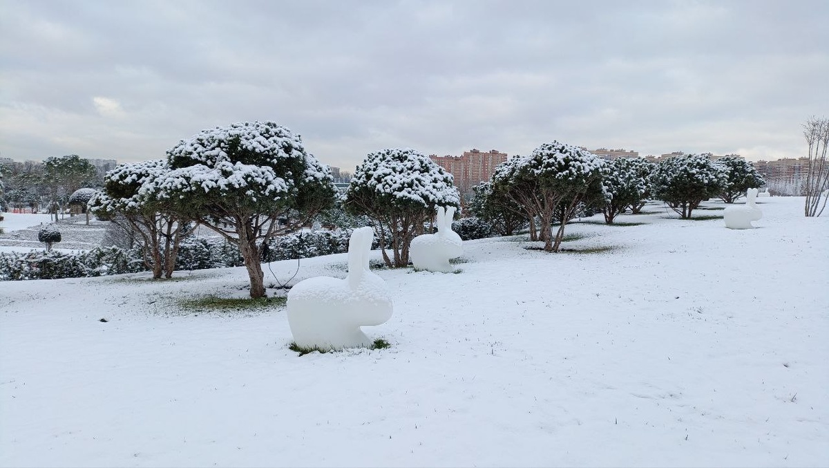 Зима в Краснодаре нынче странная. Посмотрим, как в Сочи. 