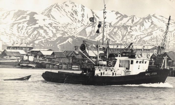 Яндекс картинки