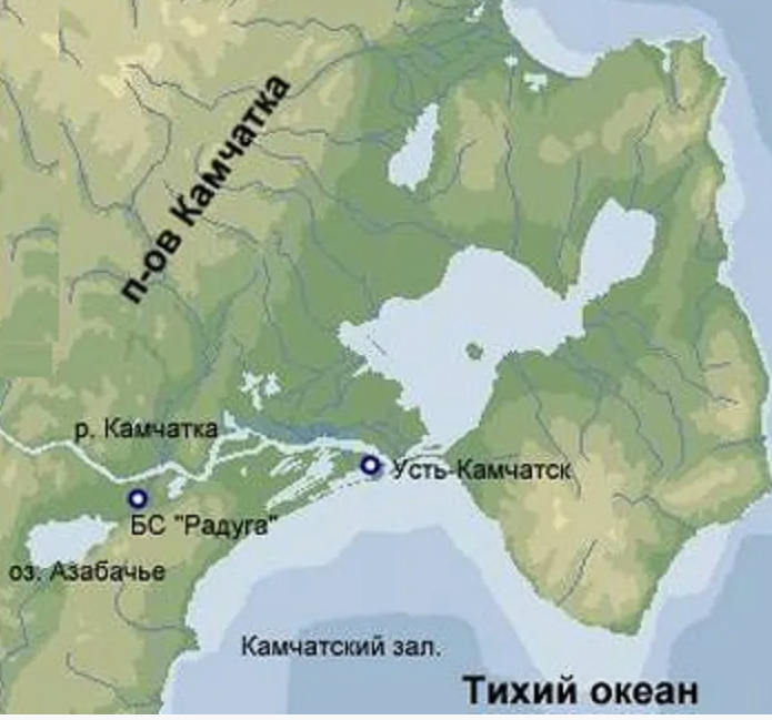 Яндекс картинки