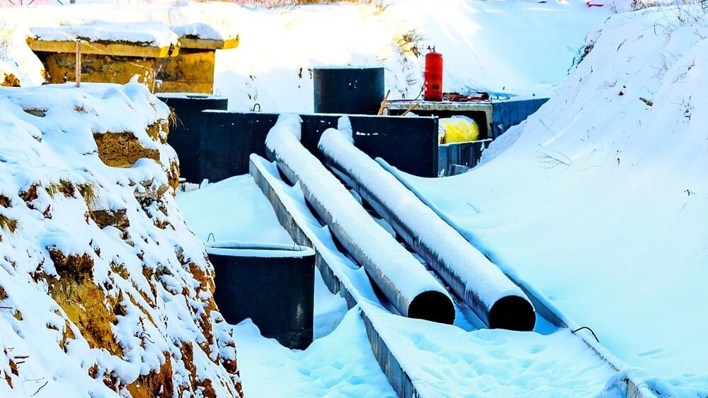    Фото: Evgenii Panov/Shutterstock/Fotodom