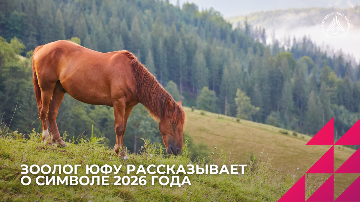 Источник: freepik.ru