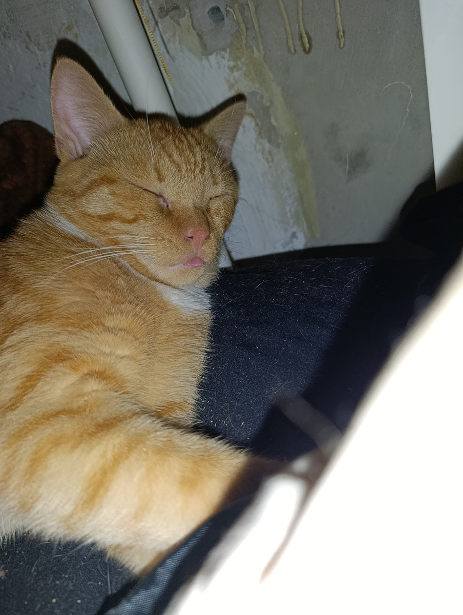 Это вам 😛 язык