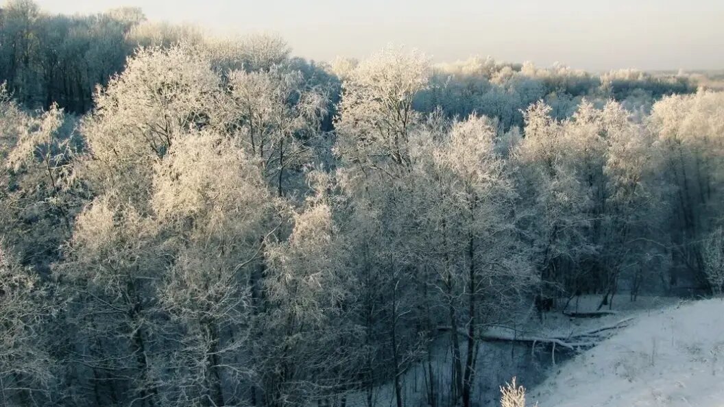    Фото: Царьград