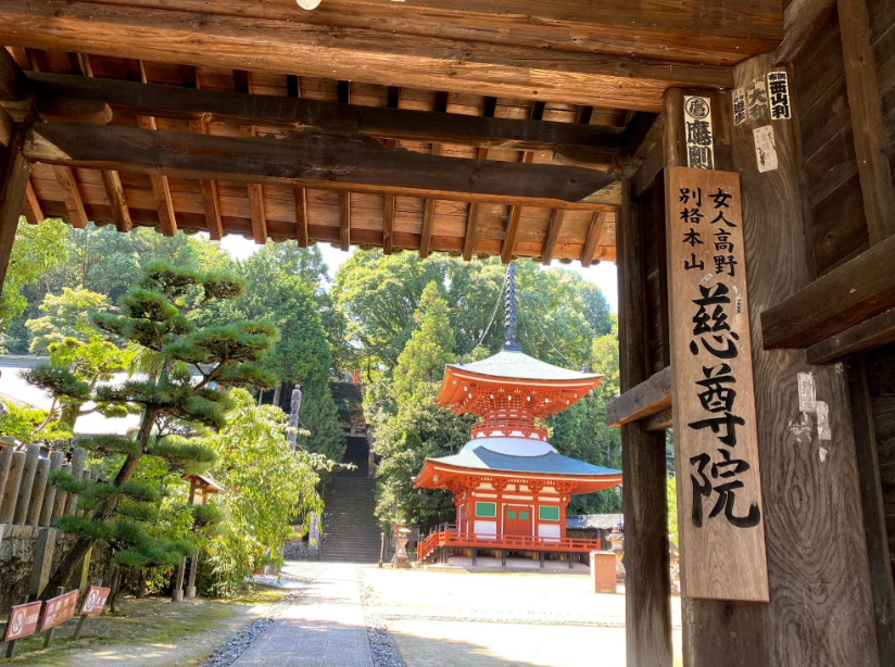 Чтобы ты проходил мимо и задумался о своей жизни