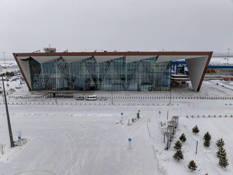     Губернатор Амурской области