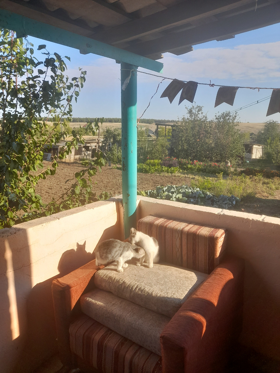 Не очень удачные фото