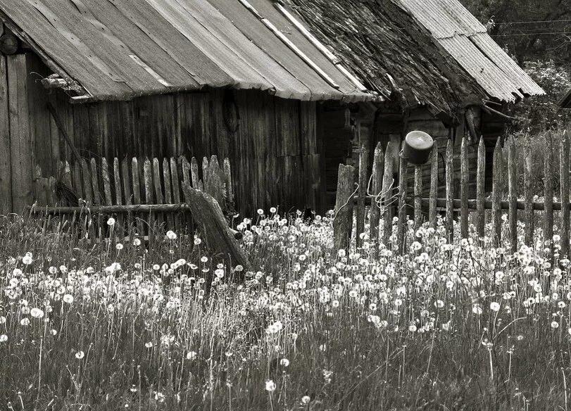 Взято из открытых источников интернета Яндекс.