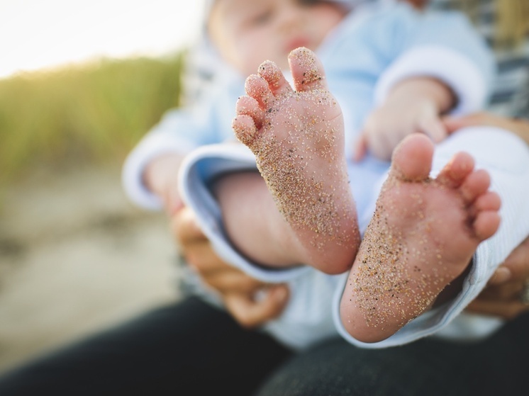     Фото: pxhere.com