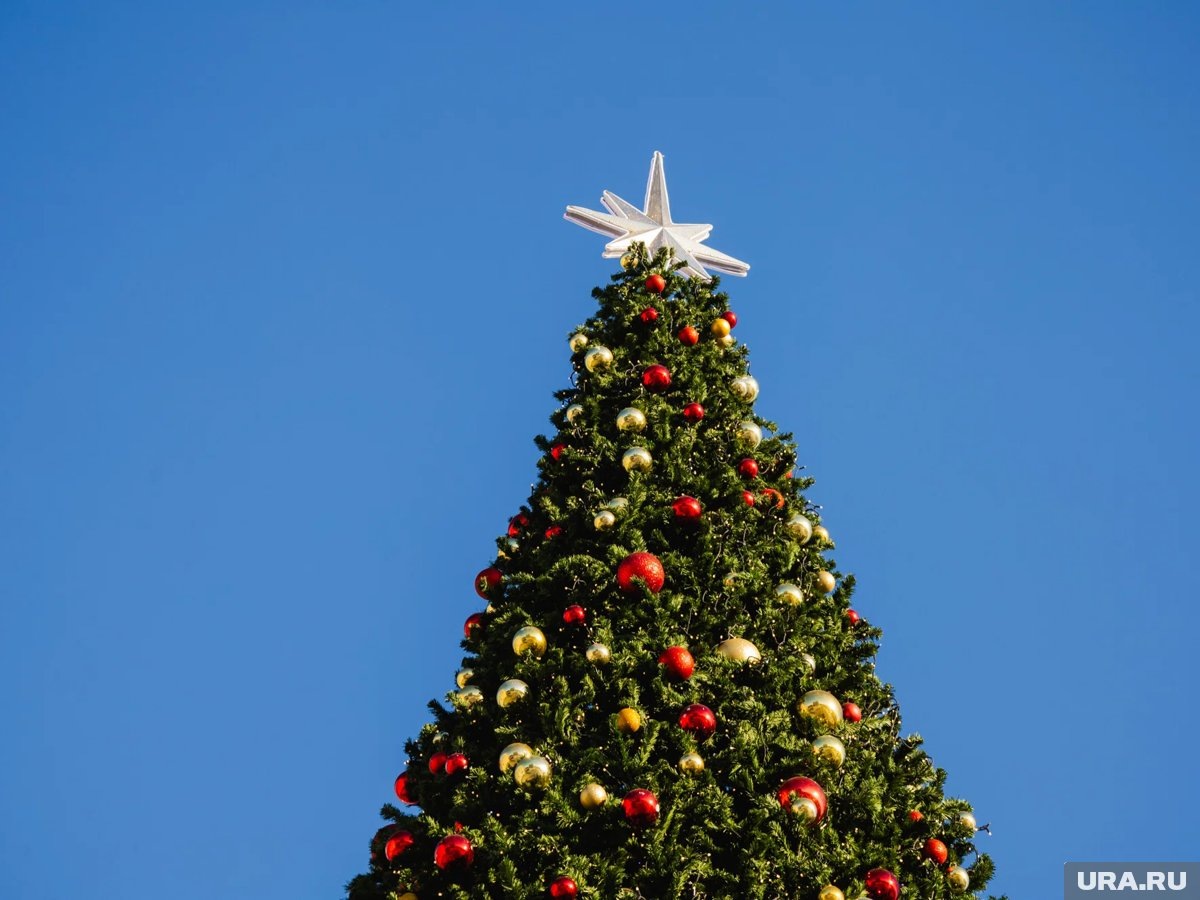     Одновременно с Чукоткой Новый год наступит и на Камчатке