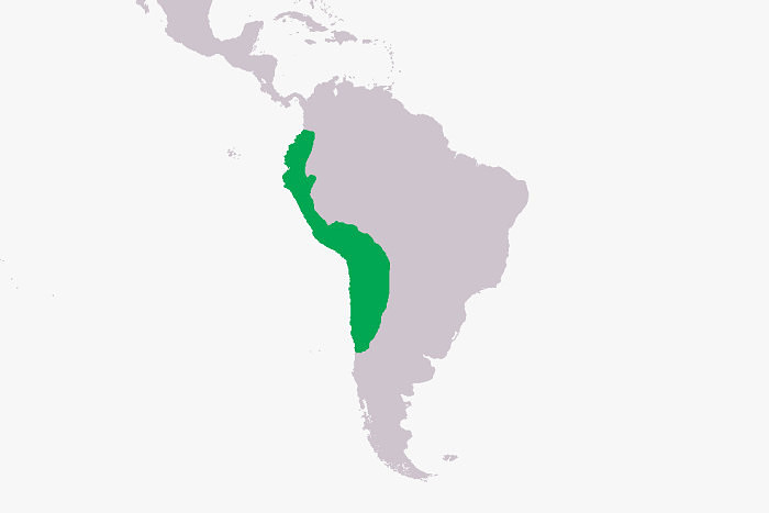 Территория, которая в тот или иной период принадлежала империи инков