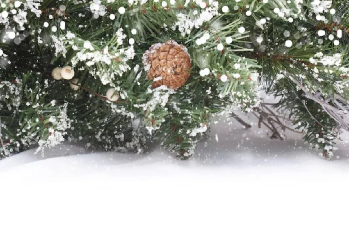    Мороз и снег: какая погода будет в Хабаровске и крае 31 декабря