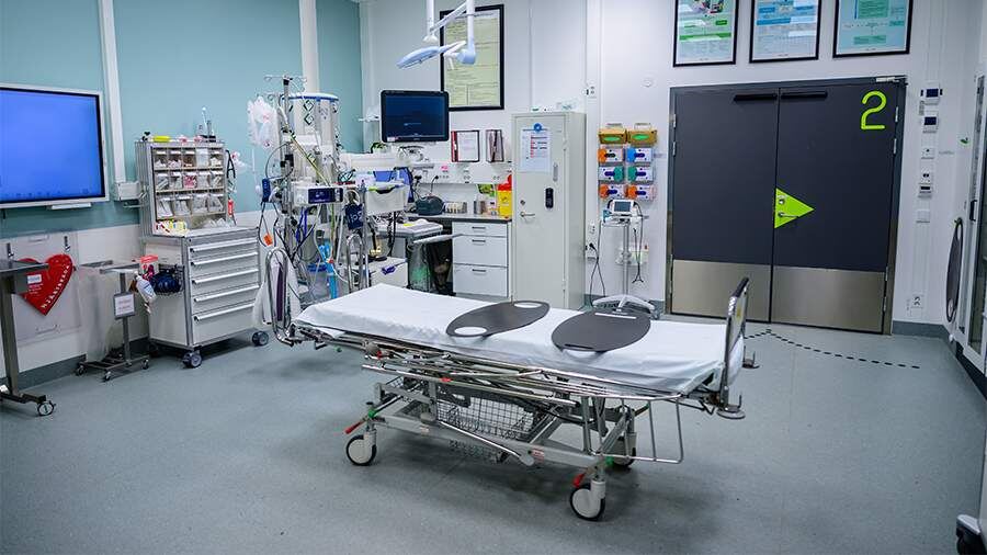    Фото: Global Look Press/Magnus Lejhall/Tt