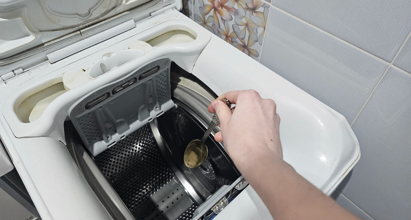    Фото progorod43.ru